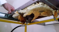 Avtäckningsmaskin för 2 ramtyper med ställ - 5